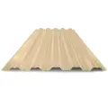 RAL 1014